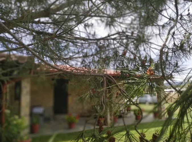 Konaki Lantställe *